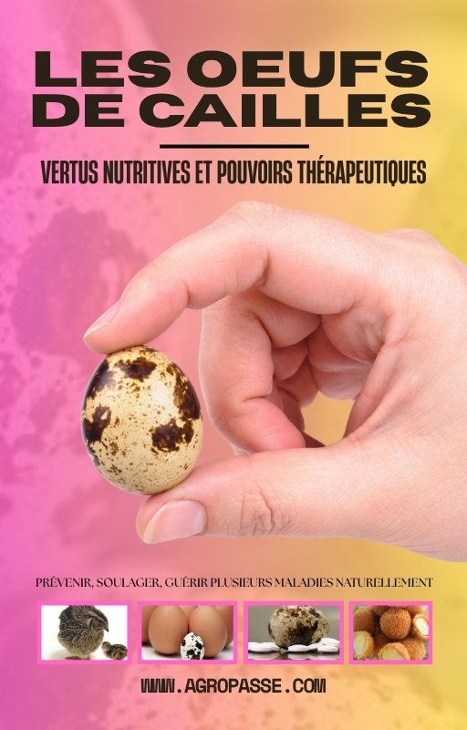 black and red simple strategic planning ebook cover (1)