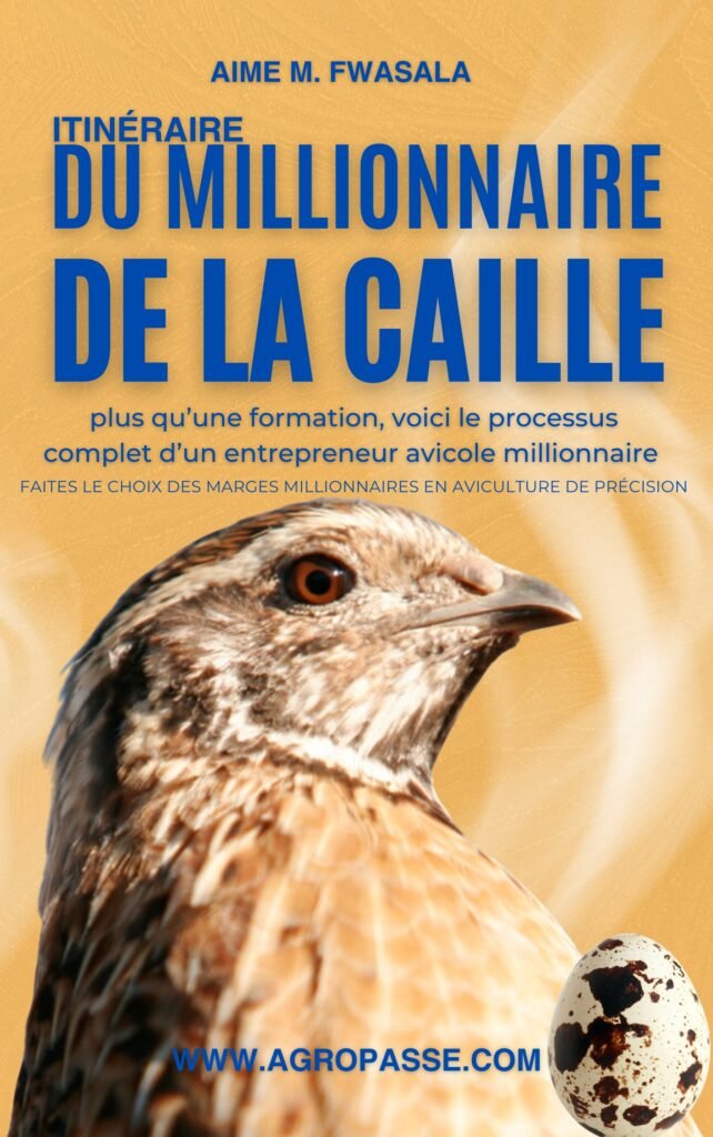 itinéraire du millionnaire de la caille2