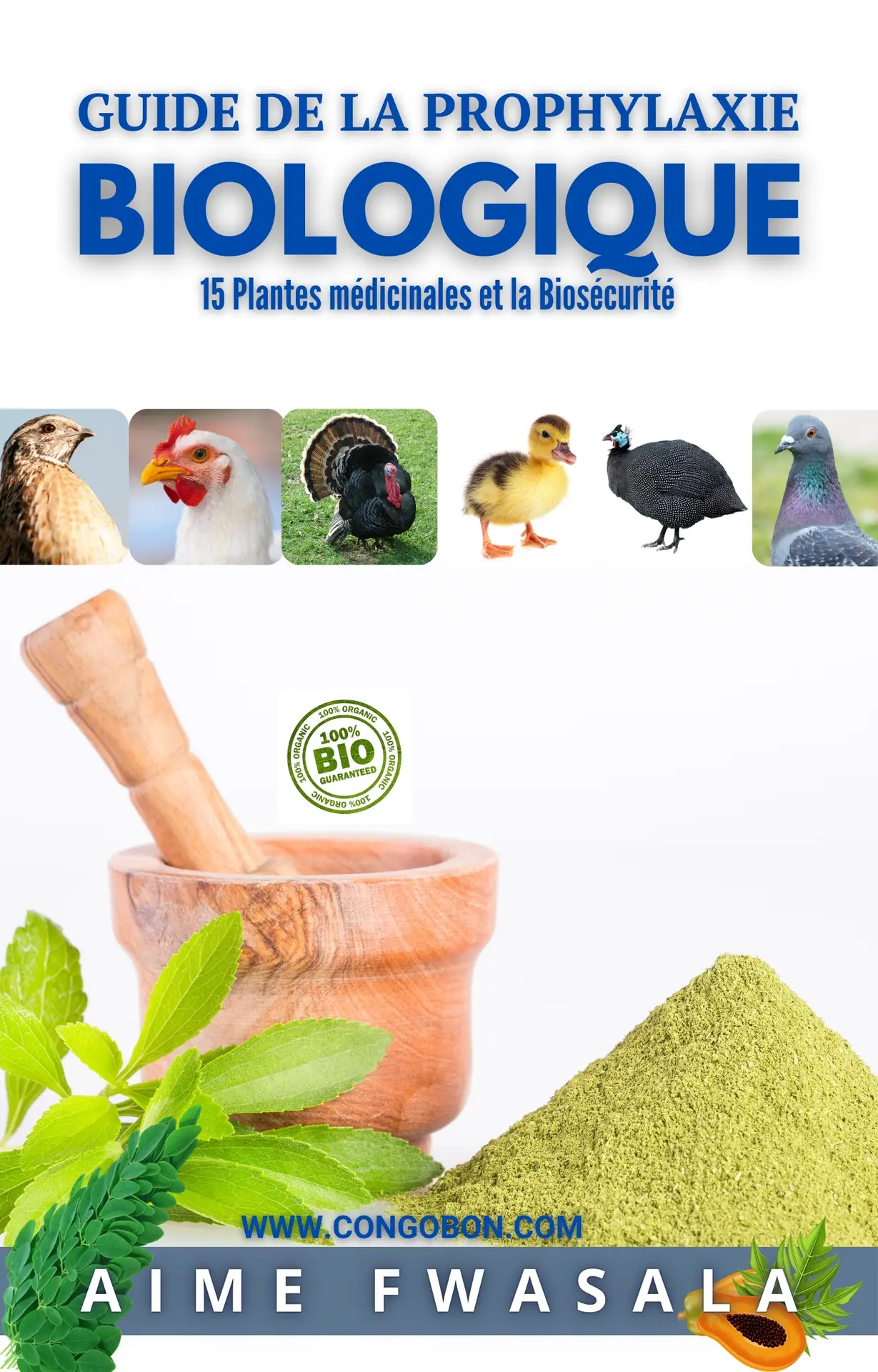 Copie de Blue Simple Business Ebook Cover